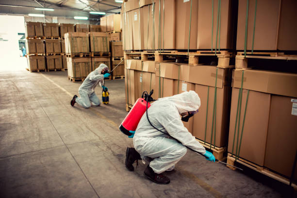 Best Best Pest Control Companies  in Madrid, IA