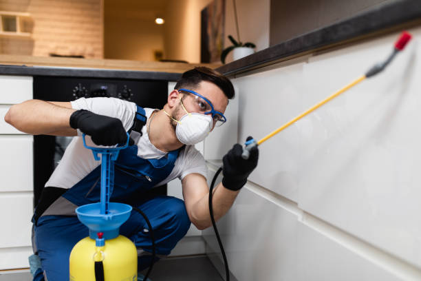 Wasp Removal Services in Madrid, IA