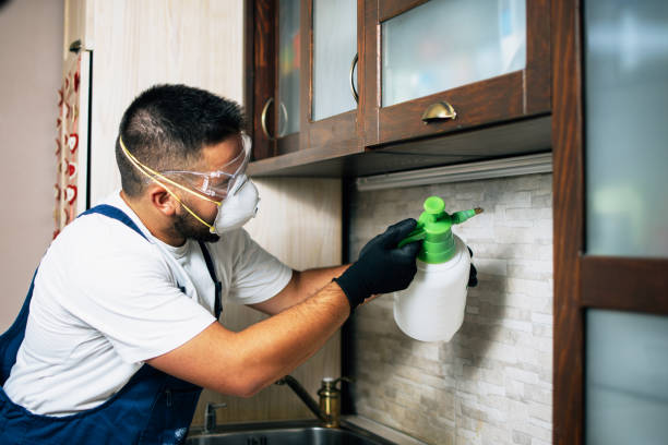 Best Pest Control for Restaurants  in Madrid, IA