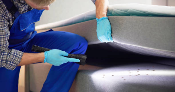 Best Affordable Pest Control Services  in Madrid, IA