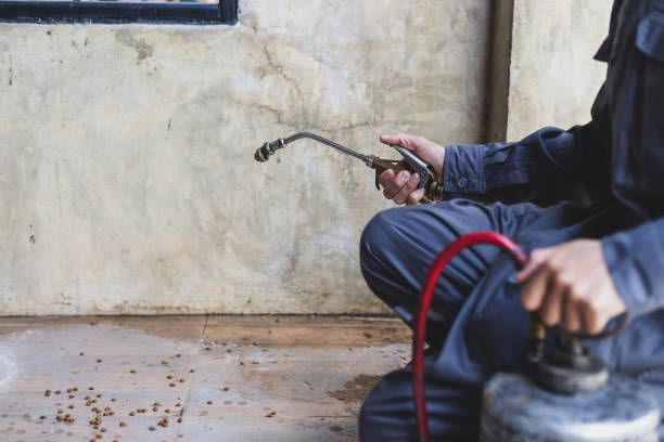 Best Residential Pest Control  in Madrid, IA